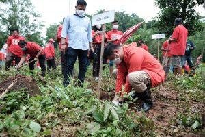 Adnan : Penanaman Pohon Mampu Minimalisir Bencana