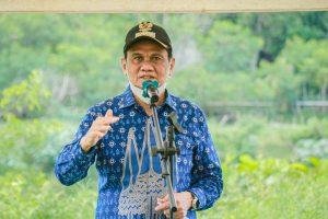 Bupati Barru Panen Perdana Bawang Merah Varietas Super Pilips Di Kelompok Tani Mamminasae Balusu