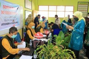 Sukseskan Vaksinasi Anak, Hasnah Syam Tembus Hujan Gerimis