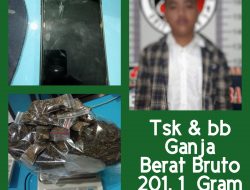 Nekat Bawa Ganja 201 Gram, Pemuda Asal Wala Walaya Makassar Diringkus Polisi