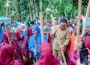 Pesta Penen Adat Paenge, Bupati Barru: Saya Berharap Budaya Seperti Ini Terus Dilestarikan