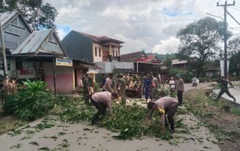 TNI–Polri Barru Bersinergi Gotong Royong Tebang Pohon Berpotensi Membahayakan Warga