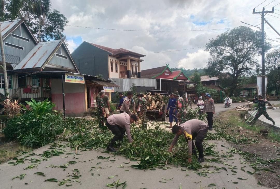 TNI–Polri Barru Bersinergi Gotong Royong Tebang Pohon Berpotensi Membahayakan Warga