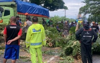 Respon Cepat Polres Barru Tangani Pohon Tumbang di Jalan Poros Barru–Makassar