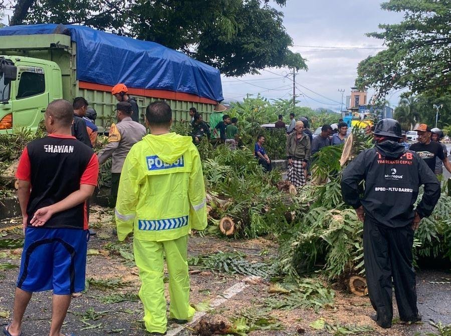 Respon Cepat Polres Barru Tangani Pohon Tumbang di Jalan Poros Barru–Makassar