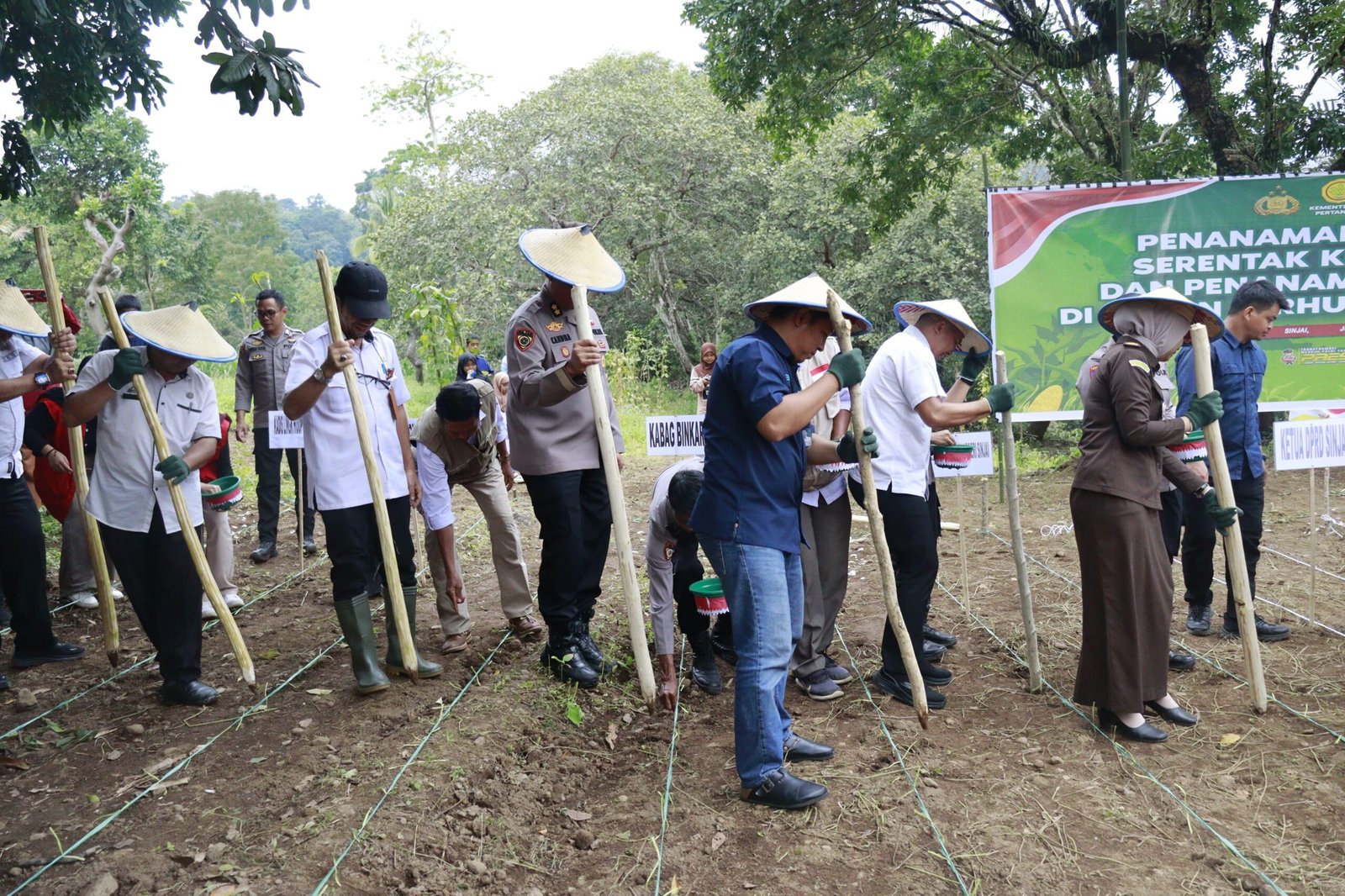 Polda Sulsel Tanam Jagung 812 Hektar, Dukung Swasembada Jagung 2026