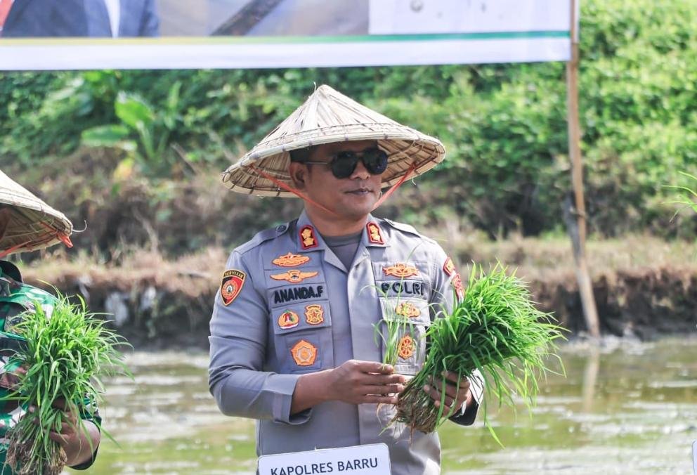 50.000 Hektar Ditanam Serentak, Polres Barru All Out Dukung Ketahanan Pangan