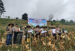 Kapolres Barru Gelar Panen Raya Jagung Serentak Kuartal II 2026 di Desa Libureng