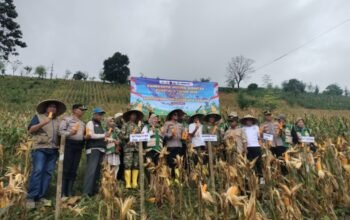 Kapolres Barru Gelar Panen Raya Jagung Serentak Kuartal II 2026 di Desa Libureng