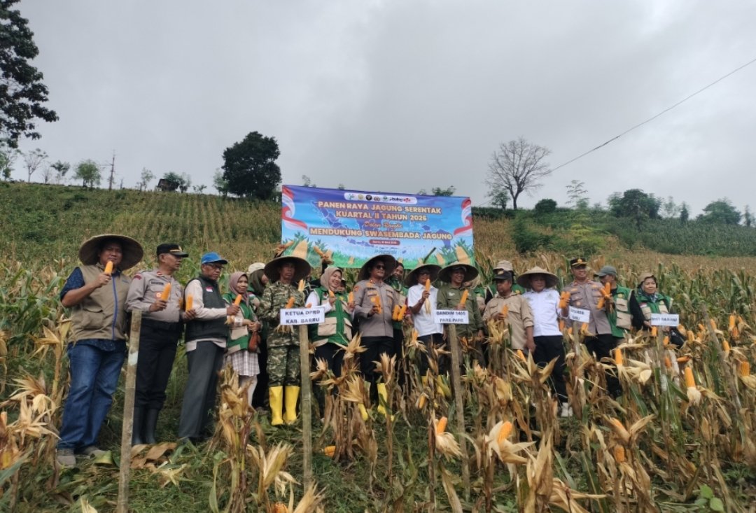 Kapolres Barru AKBP Ananda Fauzi Harahap menggelar Panen Raya Jagung Serentak Kuartal II Tahun 2026 di Desa Libureng, Kecamatan Tanete Riaja, Kabupaten Barru, Sulawesi Selatan, Sabtu (16/5/2026).