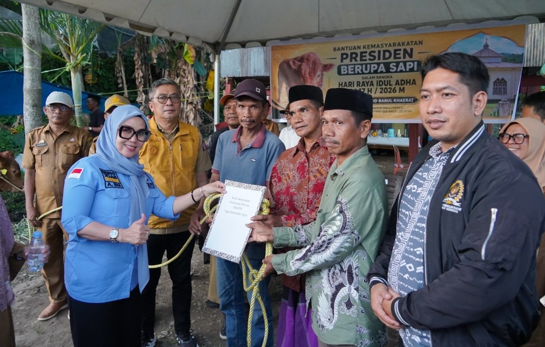 Presiden Prabowo Salurkan Sapi Kurban 908 Kg untuk Warga Desa Nepo Barru
