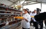 Dari Penjara ke Sentra Pangan, Nusakambangan Dipuji DPR