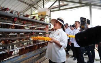 Dari Penjara ke Sentra Pangan, Nusakambangan Dipuji DPR