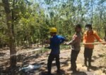 Kebakaran Lahan Terjadi di Dua Desa di Barru, 3 Hektare Terbakar, Polisi Imbau Warga Waspada