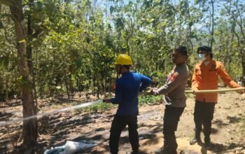Petugas Pemadam Kebakaran Barru
