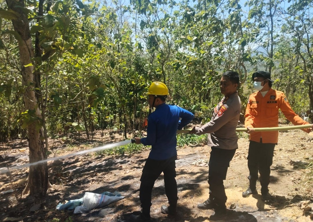 Petugas Pemadam Kebakaran Barru
