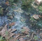 Warga Keluhkan Dugaan Kebocoran Saluran Pembuangan SPPG Binuang, Pengelola Sebut Sudah Diperbaiki