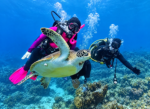 Setahun Lebih Menjabat, Kapolres Barru AKBP Ananda Gencar Promosikan Wisata Darat hingga Bawah Laut