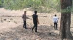Video Sabung Ayam Beredar di Barru, Polisi Sebut Kemungkinan Rekaman Lama