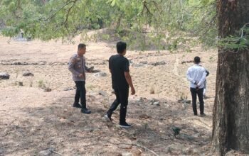 Video Sabung Ayam Beredar di Barru, Polisi Sebut Kemungkinan Rekaman Lama