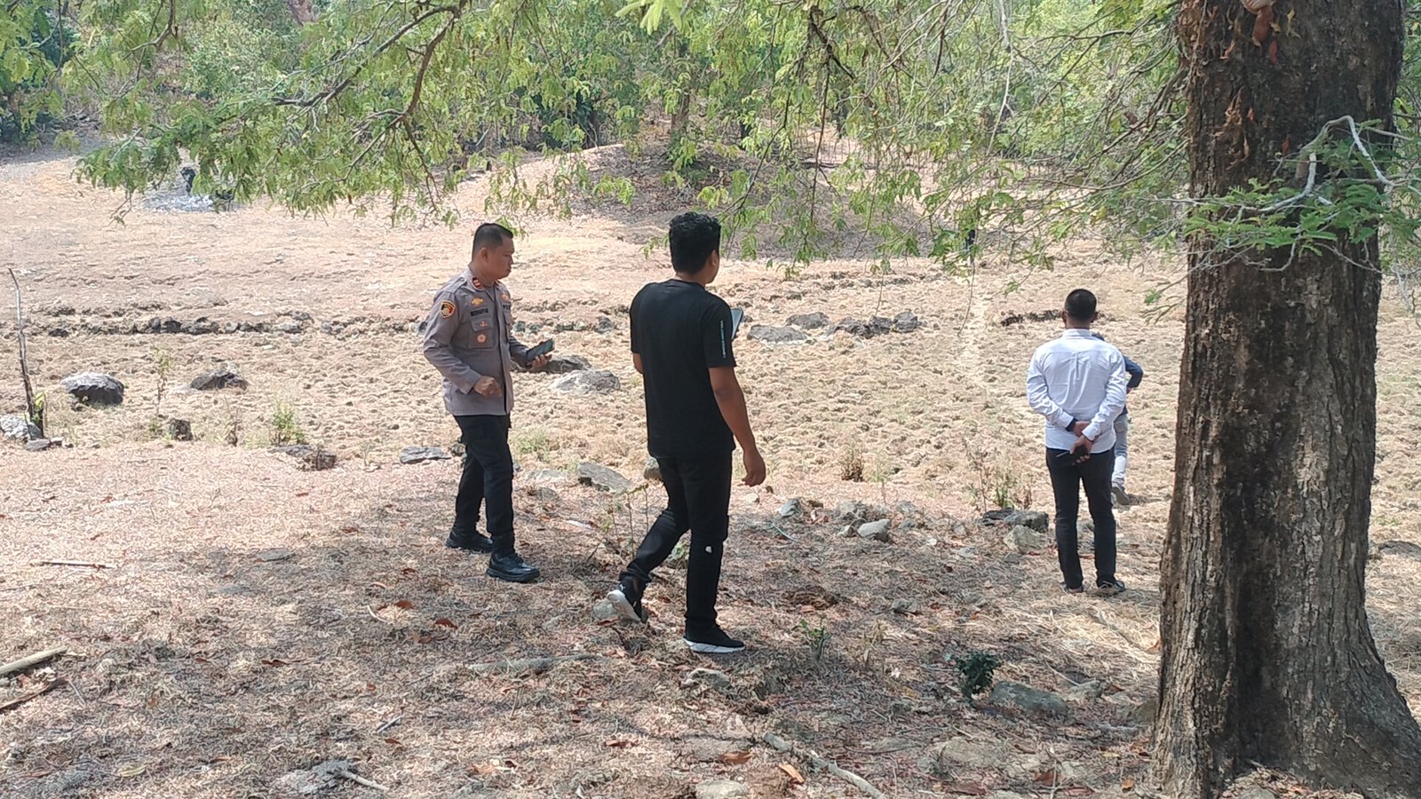 Video Sabung Ayam Beredar di Barru, Polisi Sebut Kemungkinan Rekaman Lama
