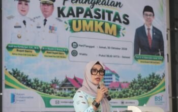 Bupati Barru Andi Ina Kartika Sari (dok ist)